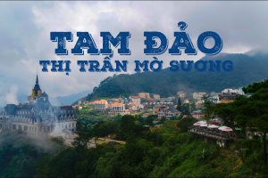 Tam Dao - Du Lich Viet Hai Ngoai 1