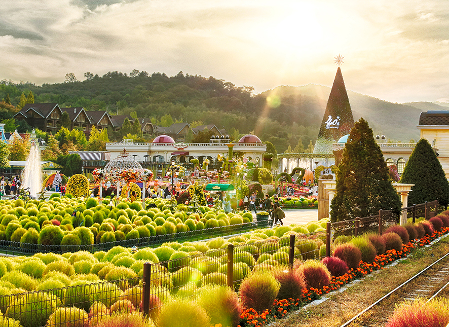Du lịch Hàn Quốc tuyệt đỉnh trải nghiệm ẩm thực không bao giờ quên
